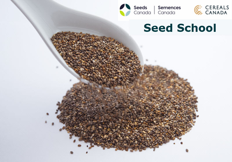 Navigating Canada's seed industry dynamics with Seed School