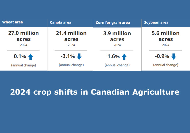2024 agriculture crop shifts 