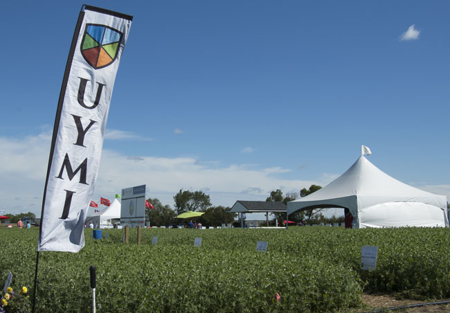 UYMI flag and The Rack crops and booth