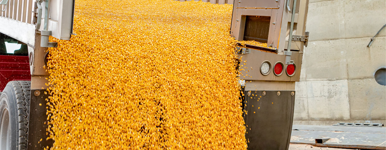 Agriculture commodity markets in 2023 and beyond  