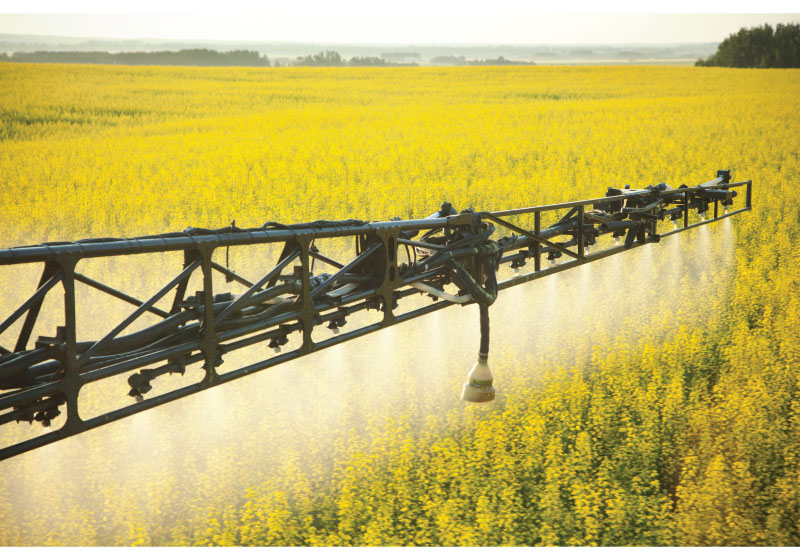 Thumbnail for What will lower clethodim MRL’s mean for Canadian Ag Retailers and Farmers?