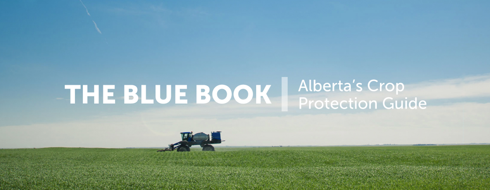 Banner for Blue Book