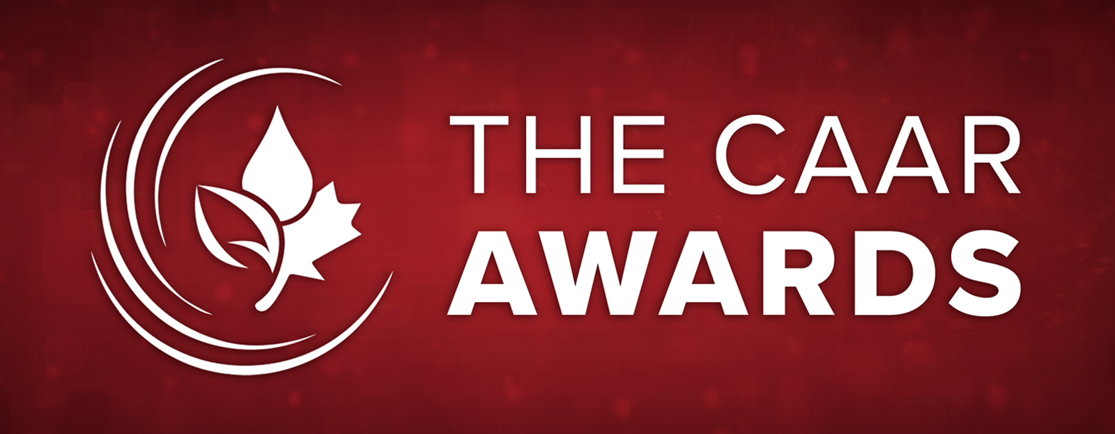 Banner for CAAR Awards Deadline Extended to January 16
