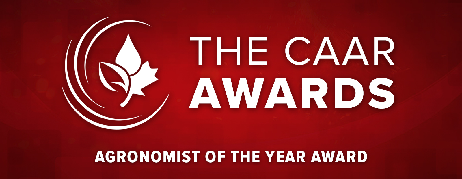 Banner of AOY CAAR Awards
