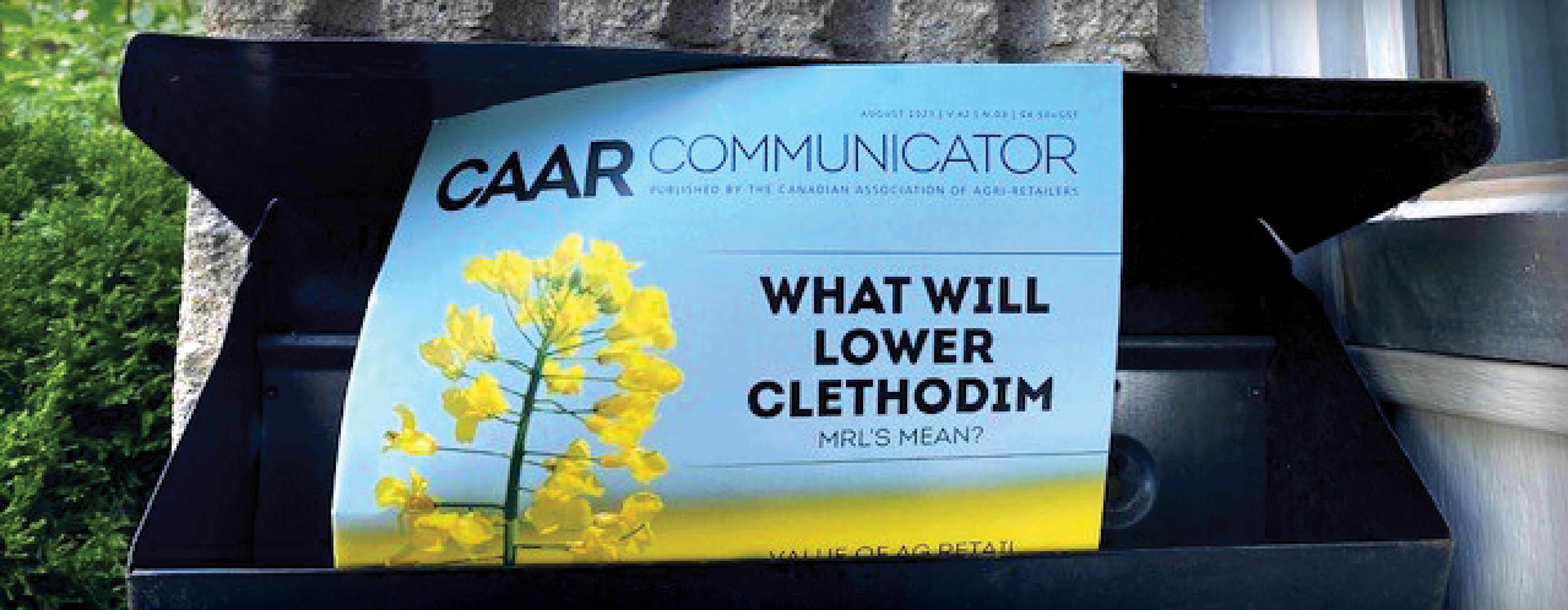 Banner for CAAR Communicator August Issue