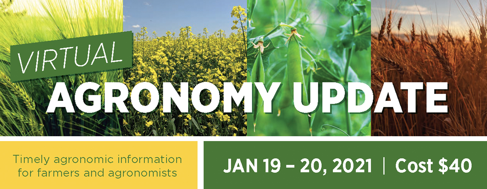 Banner for Agronomy Update 2021