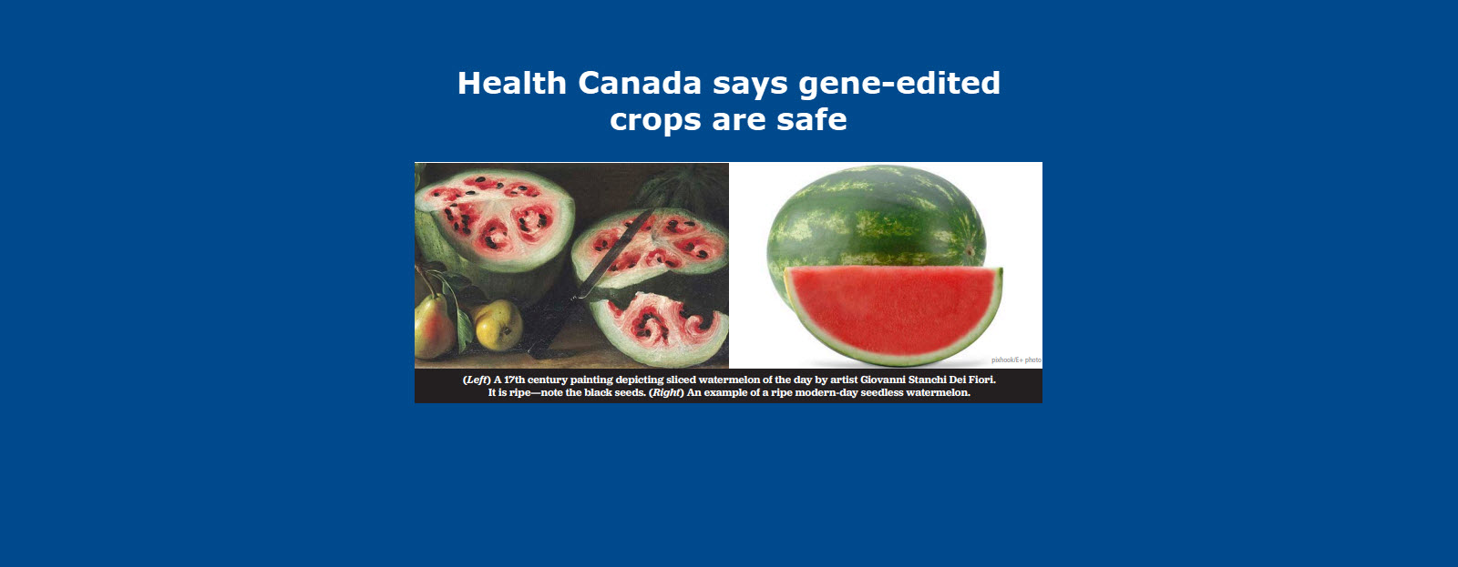 Banner for Health Canada says gene-edited crops are safe 