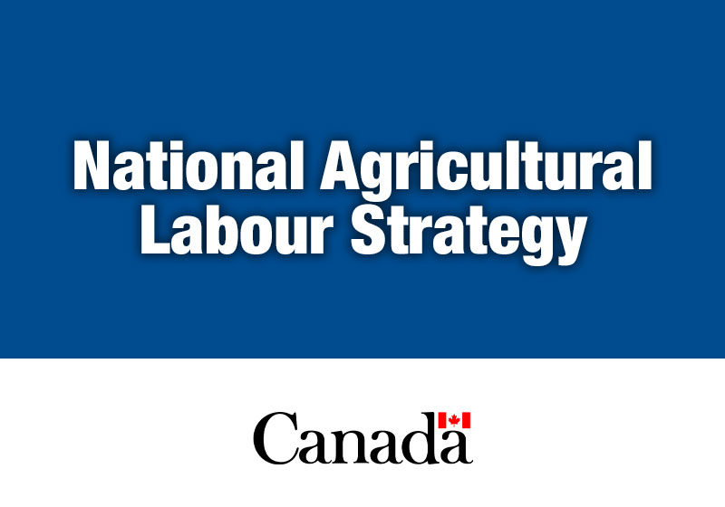 Thumbnail for National Agricultural Labour Strategy