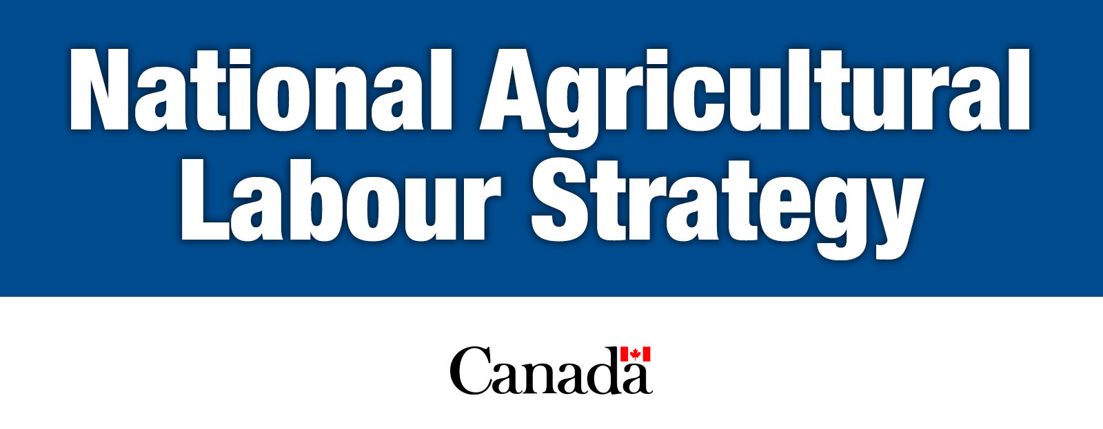National Agricultural Labour Strategy