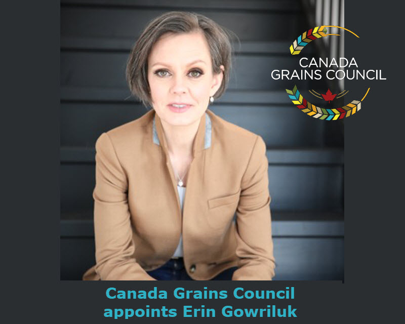 Thumbnail for Erin Gowriluk to lead Canada Grains Council