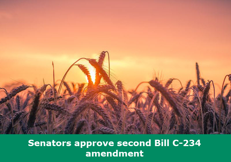 Senators approve second Bill C-234 amendment