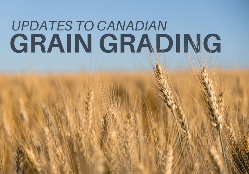 Grain grading changes coming for the 2023-2024 crop year