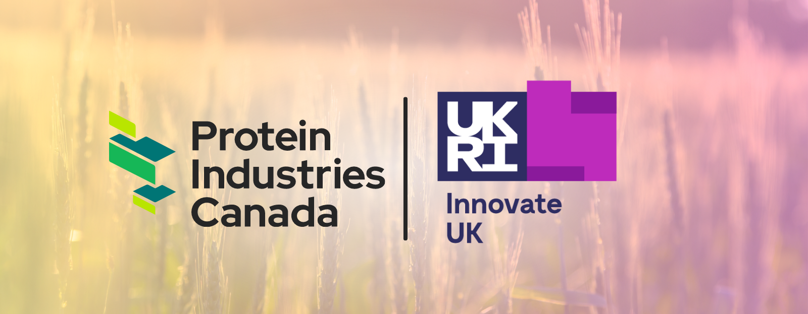 Protein Industries Canada and innovate UK partnership announced