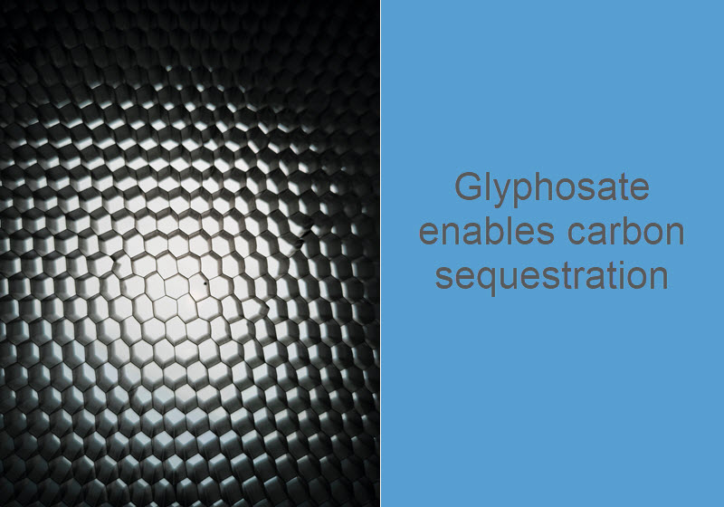 Glyphosate enables carbon sequestration