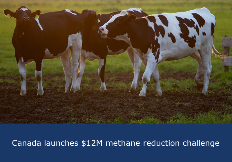 Canada launche $12M methane reduction challenge