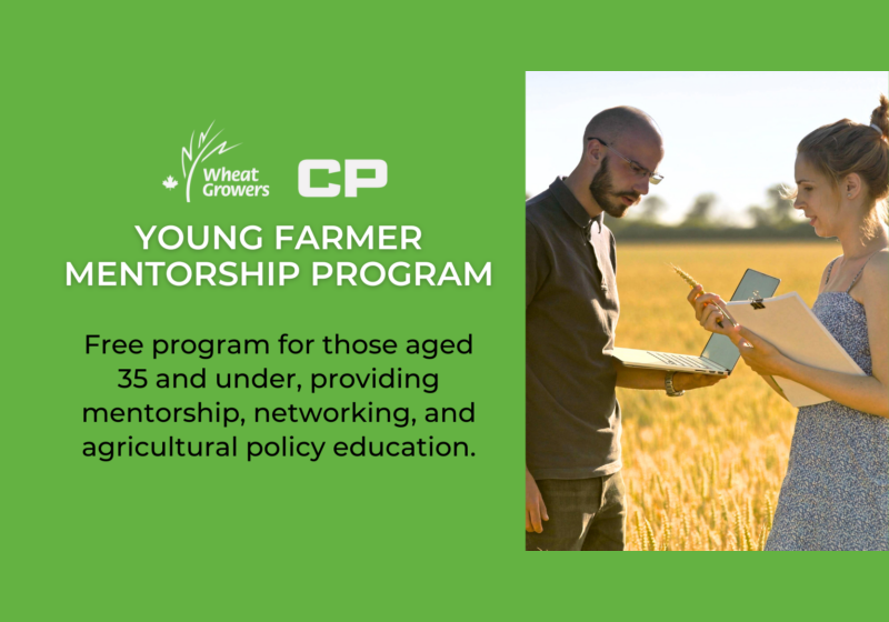 Young farmer mentorship program introduced for wheat growers