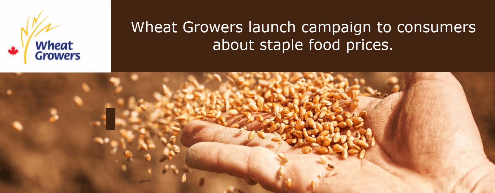 Wheat Growers launch campaign to consumers about staple food prices