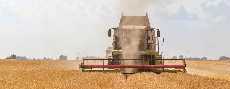 A powerful combine harvester moves through golden fields, skillfully cutting through ripe wheat while clouds drift above, showcasing the heart of the harvesting season and the beauty of rural landscapes.