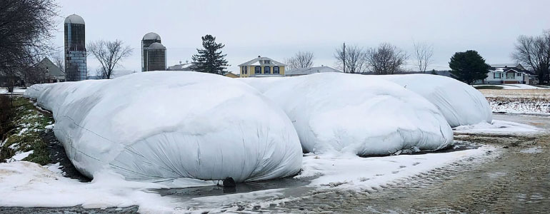 Three large snow-topped fermentation bags