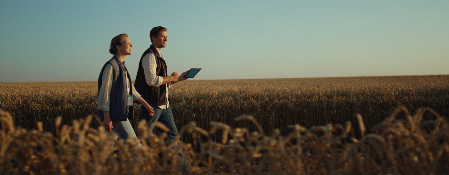 Man and woman stroll in field with the sun setting behind them